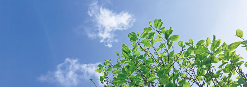 つながりインタビューチャンネル「支える人の物語」